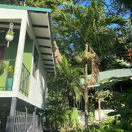 Luxury Jungle On A Budget Wisdom Bnb Bed and Breakfast Puerto Carrillo Exterior foto