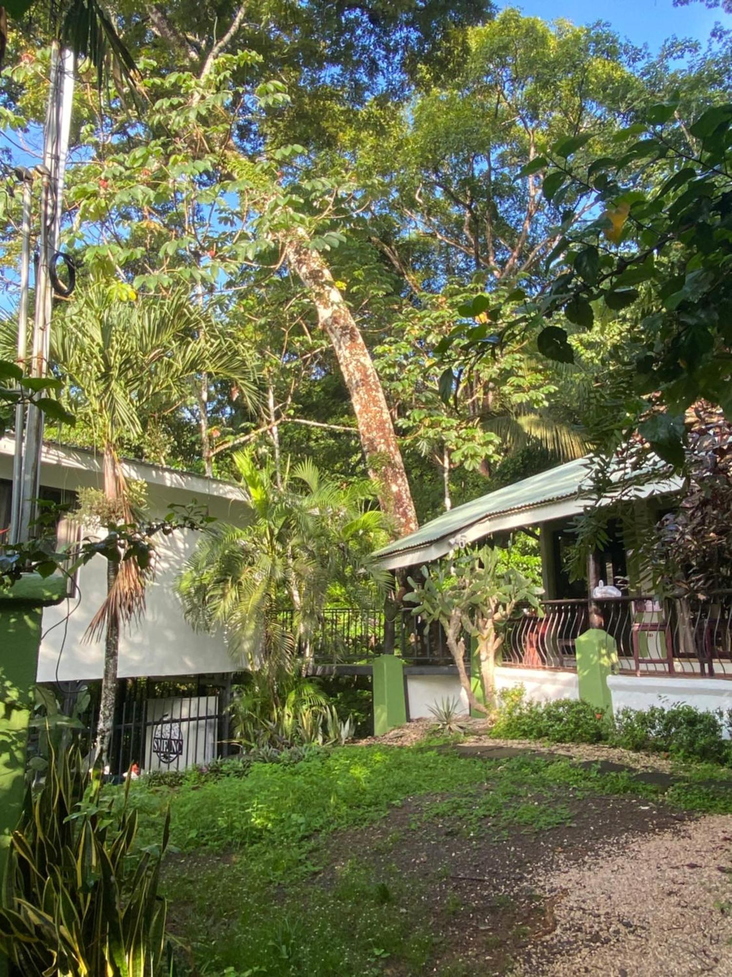 Luxury Jungle On A Budget Wisdom Bnb Bed and Breakfast Puerto Carrillo Exterior foto