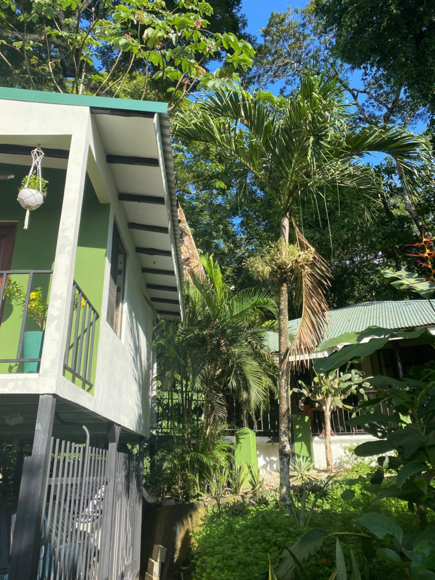 Luxury Jungle On A Budget Wisdom Bnb Bed and Breakfast Puerto Carrillo Exterior foto